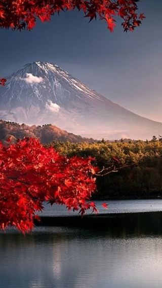 8日7晚 • 日本本州彈性之旅｜東京 + 富士山 + 京都 + 大阪，包含新幹線費用