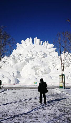 3D2N • 3-Day Harbin City Private Tour with Ice and Snow Festival