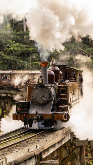 3D2N • Melbourne + Puffing Billy Railway + Phillip Island + Great Ocean Road | 12-14 person premium small group | Itinerary can be customized & hotel of your choice