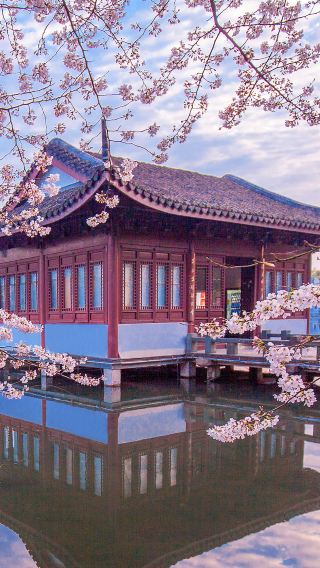 6D5N • Shanghai, Suzhou and Hangzhou - Muslim-friendly with halal meals