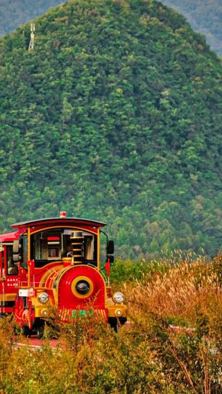8D7N • Enshi City + Shennongjia + Enshi Grand Canyon Scenic Area