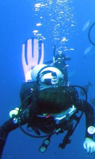 2D1N • Mactan: PADI Open Water Diver Certification Course