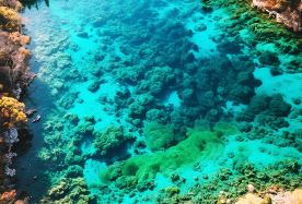3D2N · Group Tours · Jiuzhaigou + Huanglong National Explore the beautiful scenery of the two 5A-rated tourist attractions in one go  Scenic Area+Contact customer service for exclusive offers. · Explore the beautiful scenery of the two 5A-rated tourist attractions in one go.