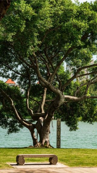 4D3N • Xiamen + Kulangsu + Fujian Nanjing Tulou Scenic Area