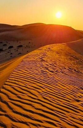 2D1N • Doha Overnight Camp Desert Safari Tour with Dinner and Breakfast