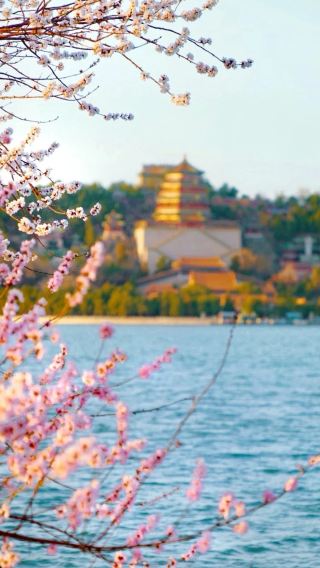 8D7N • Beijing + Tianjin + Universal Beijing Resort + The Palace Museum + Badaling Great Wall + Temple of Heaven + Summer Palace + Lao She Tea House