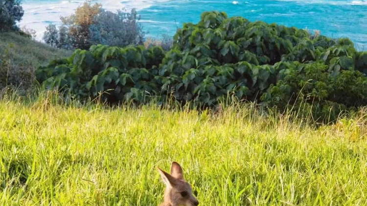 image_grid_sub1