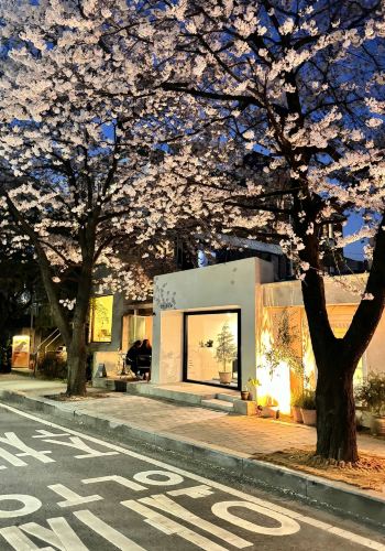 2日1晚 • 韓國首爾 + 京畿道、獨家深度探訪古牆秘境與網紅星空地標｜點擊「定制行程」聯繫客服中心，免費為您量身規劃旅行方案