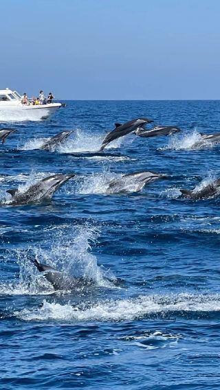 8D7N • Explore Hawaii's Big Island and Oahu In One Combined Package.