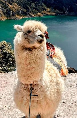 4D3N • Ecuador Adventure Escape: Volcanoes, Waterfalls, Amazon & Rafting