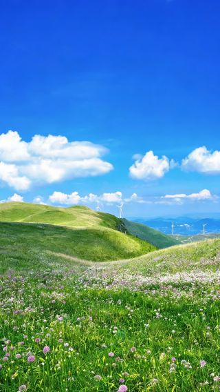 5天4晚 • 中國貴州烏蒙大草原  織金洞  韭菜坪  梅花山旅遊景區
