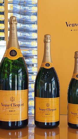 2D1N • 2 days in Champagne - Cellars, tastings and winemakers meetings