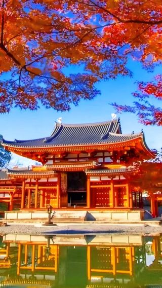 5天4晚 • 日本大阪＋京都＋奈良市＋宇治市｜關西深度遊 「金閣寺・清水寺・伏見稻荷大社・奈良餵鹿・宇治平等院・抹茶體驗」
