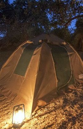 3D2N • 2 Nights 3 Days Chobe Safari ex Livingstone/ Victoria Falls