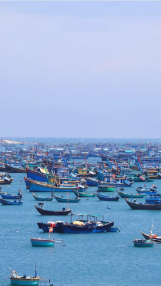 5D4N • Ho Chi Minh City + My Tho + Vung Tau