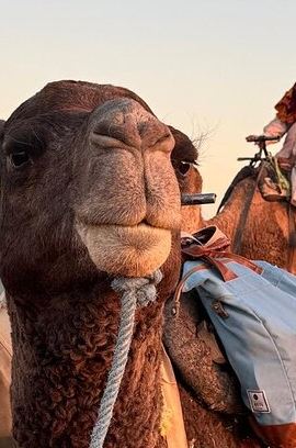 10D9N • 10 Days Luxury Morocco Imperial Cities Mountains Sahara Camp