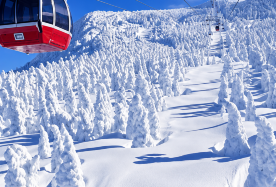 6D5N · Private Tours · Hokkaido winter Muslim-friendly tour · Sapporo, Otaru, Hakodate, Lake Toya & Noboribetsu · Discover Sapporo, Otaru, Hakodate, Lake Toya and Noboribetsu on a private Hokkaido winter tour with comfortable Muslim-friendly travel arrangements.