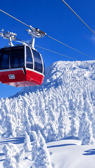 6D5N • Hokkaido winter Muslim-friendly tour · Sapporo, Otaru, Hakodate, Lake Toya & Noboribetsu