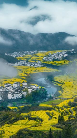 7D6N • Nanchang + Lushan National Park + Jingdezhen + Wuyuan + Sanqingshan Mount Scenic Area + Wangxian Valley