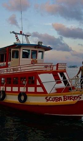3D2N • PADI Open Water Diver course on Koh Samui