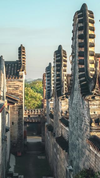 7D6N • Michelin-exclusive dining, immersive lion dance heritage experience, Wong Fei-hung Memorial Hall visit, and a free Dongtian Fairyland boat cruise