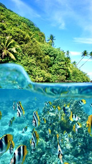 6D5N • Malaysia Semporna--Snorkeling Island Hopping Vacation