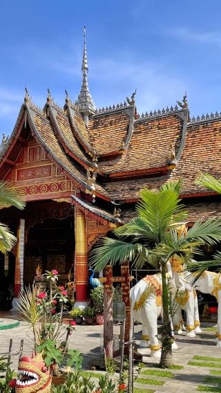 8 วัน 7 คืน • 8 วัน 7 คืน · ทัวร์กลุ่ม · คุนหมิง, ผู่เอ๋อร์, ซีซวงปันนา ชิหลิน, เส้นทางค้าชาโบราณผู่เอ๋อร์, สวนพฤกษศาสตร์เขตร้อนซีซวงปันนา, หุบเขาช้างป่า และสวนหม่านติง
