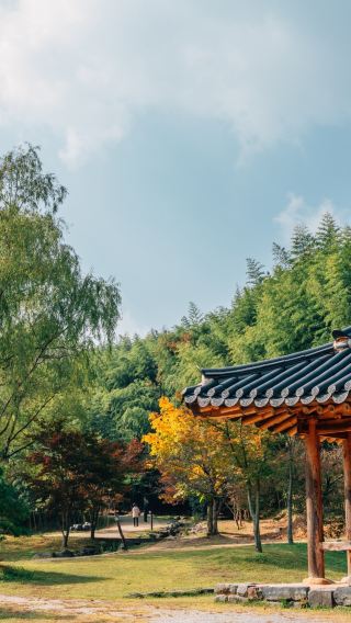 17D16N • Tokyo, Mount Fuji, Kyoto, Nagasaki & Korea