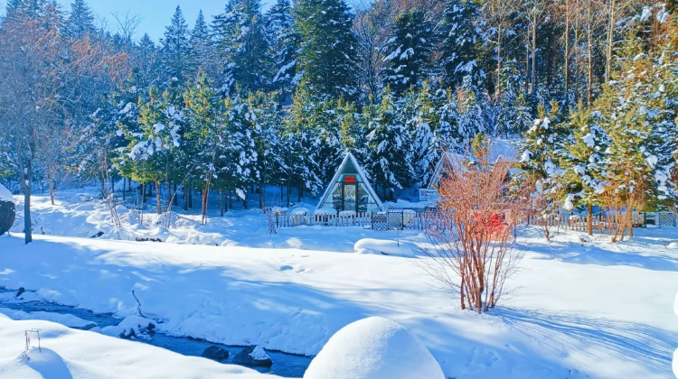 哈爾濱旅行團 | 6日5晚哈爾濱+延吉+長白山+雪鄉冬季奇景