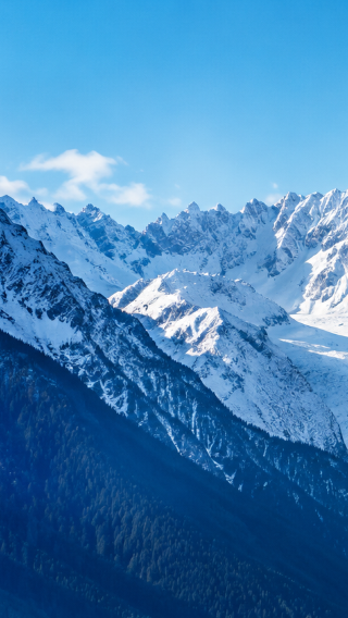 7D6N • New Zealand : Christchurch&Queenstown – Traverse Glaciers, Lakes & Coast: Kaikoura Whale Watching, Lake Tekapo, That Wanaka Tree, Milford Sound