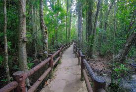 2D1N · Group Tours · Krabi Outback Explorer with Emerald Pool, Wareerak Hotspring and Elephant Bathing · Spend a couple of hours exploring Krabi's most iconic mainland attractions. Walk on a Emerald Pool and relaxation at Wareerak Onsen Spa. Walk and bath with elephants in Krabi's Elephant Sanctuary.