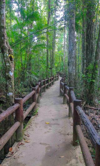 2D1N • Hotel Not Included—Krabi outback explorer with Emerald Pool, Wareerak Hotspring, and kayaking in Klong Root