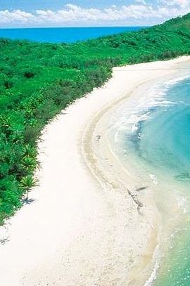 3D2N • From Cairns: Cooktown, Daintree & Outback 3 Day Small-Group Tour