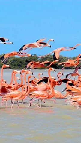3D2N • Private 3-Day Yucatan Sightseeing Tour from Playa del Carmen