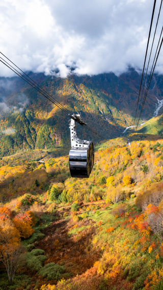 5D4N • Nagoya, Japan + Gifu City |