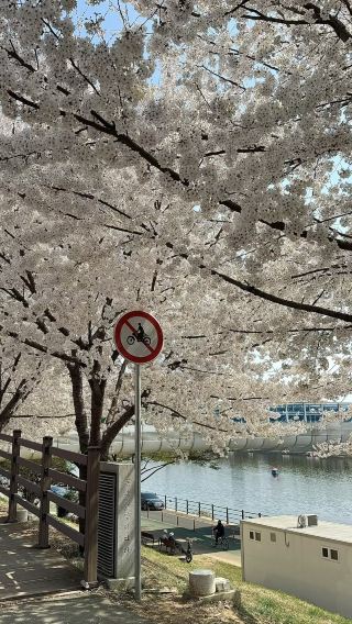6天5晚 • 釜山+慶州+大邱
