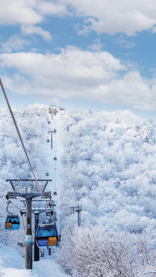 2天1晚 • 首爾出發龍平滑雪場｜冬季限定滑雪體驗｜專車往返龍平滑雪場｜初學者友善・親子好友輕鬆玩雪｜入住滑雪度假村