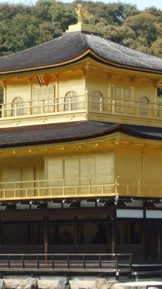 7D6N • Cross Kanto Kansai Itinerary: Explore Tokyo + Mount Fuji + Kyoto and Osaka in One Trip + Shinkansen Tickets Included