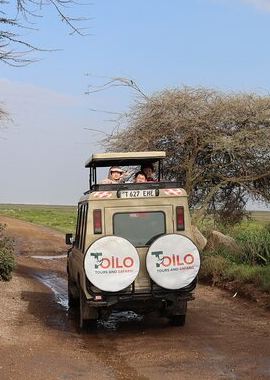 4D3N • 4-Days Group Camping Tour to Tarangire Serengeti Ngorongoro