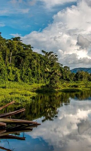 4D3N • Amazon Expedition 4 Days Manu National Park