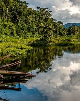4D3N • Amazon Expedition 4 Days Manu National Park