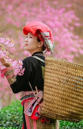 3D2N • 3-day Charming Sapa & Fansipan from Hanoi (2 nights in hotel)