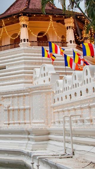 5D4N • 5-Day Sri Lanka Private Tour with Hotels & Transport