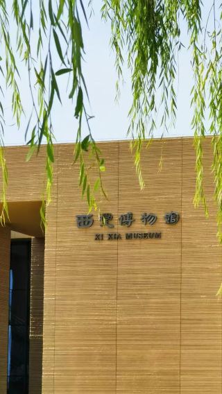 4D3N • Yinchuan + Zhongwei