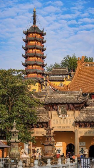 8日 • 中国＋上海＋江蘇省・浙江省・上海地区