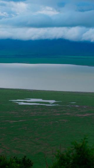 7D6N • 7-Day Tanzania Safari Tour with Accommodation