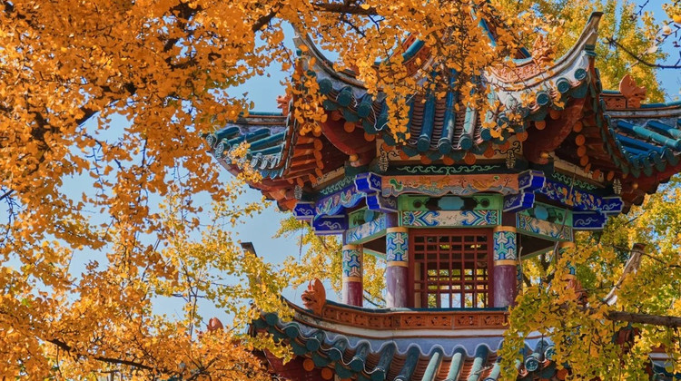 西雙版納