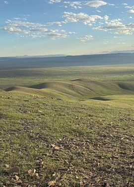 5D4N • The Best of Central Mongolia Tour in 5 Days
