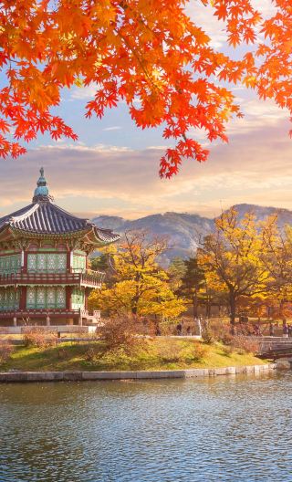 4D3N • 8-person deluxe tour for families: South Korea Seoul & Everland