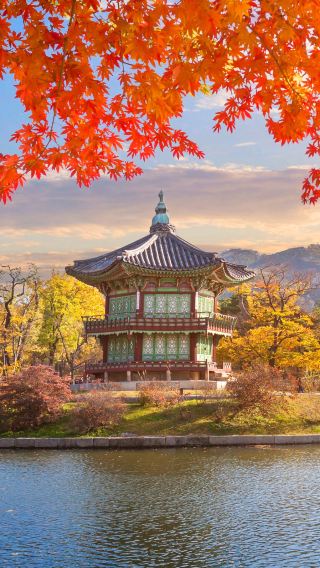 4D3N • 8-person deluxe tour for families: South Korea Seoul & Everland